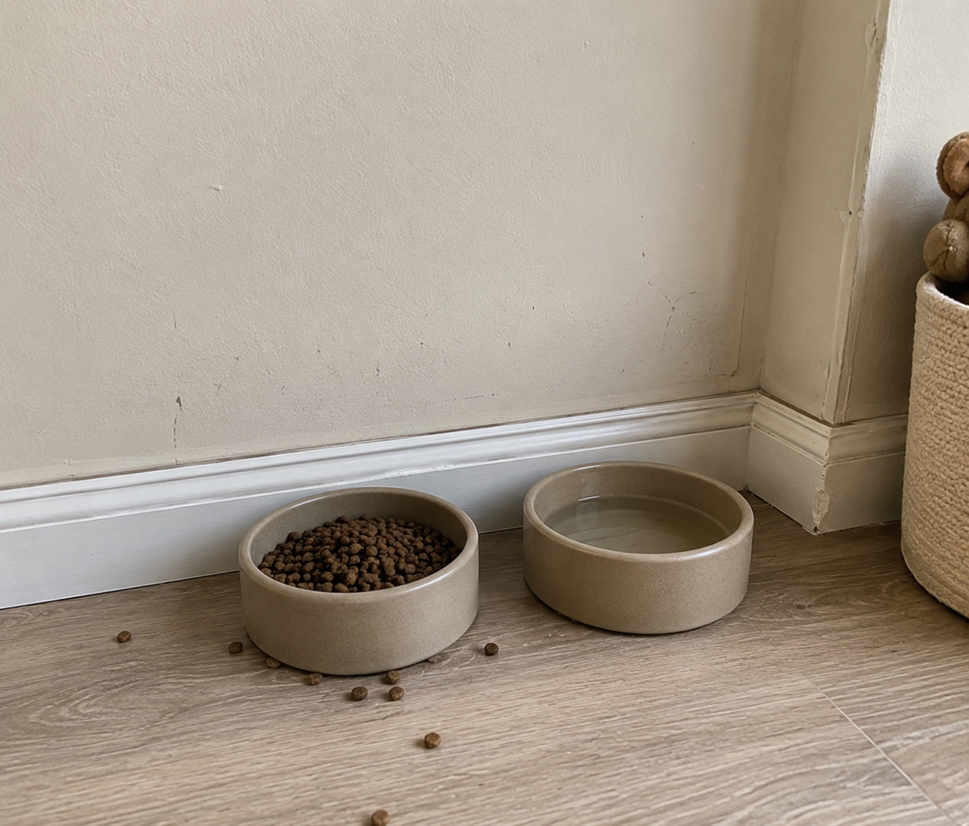 Plain dog feeding corner before styling