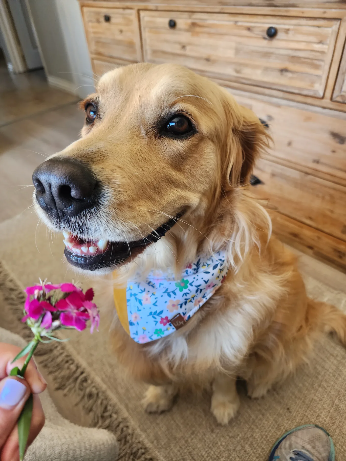 Lana looking up at me with the flower held toward her — she wasn't looking at the flower at all