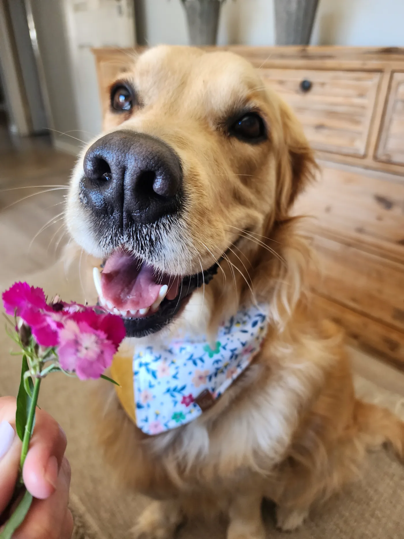 Lana smiling with pink flowers and her floral bandana