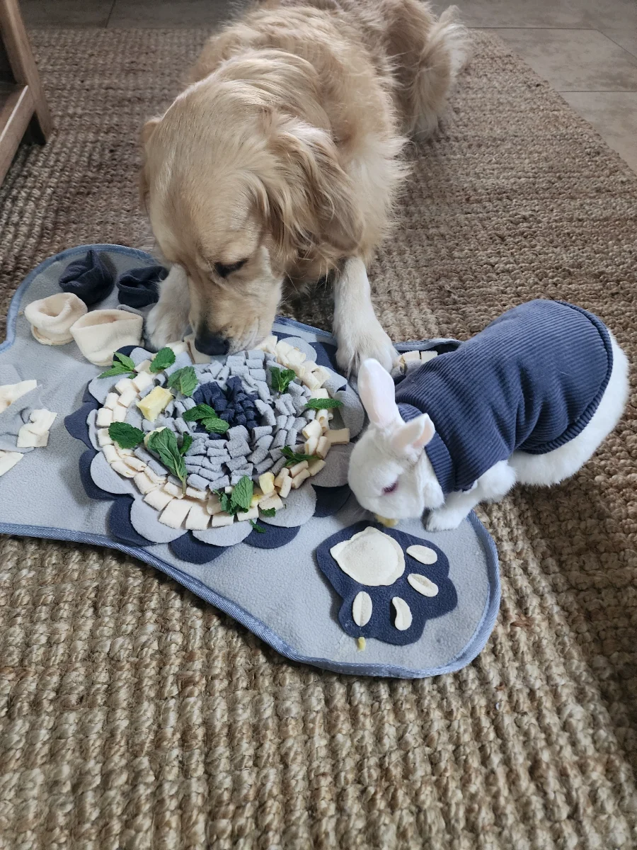Lana and Marshie using a snuffle mat together