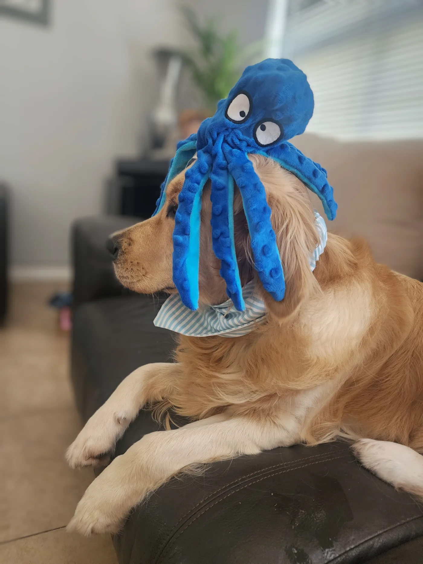 Lana with the octopus toy on her head