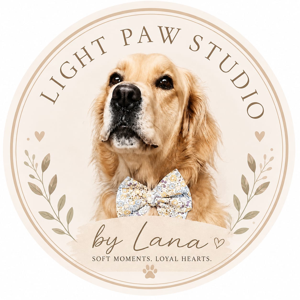 Light Paw Studio logo