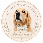 Light Paw Studio logo