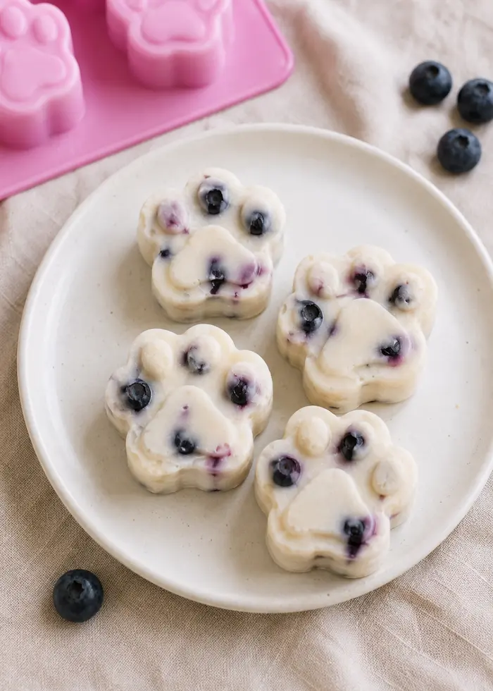 Blueberry yoghurt frozen dog treat paws
