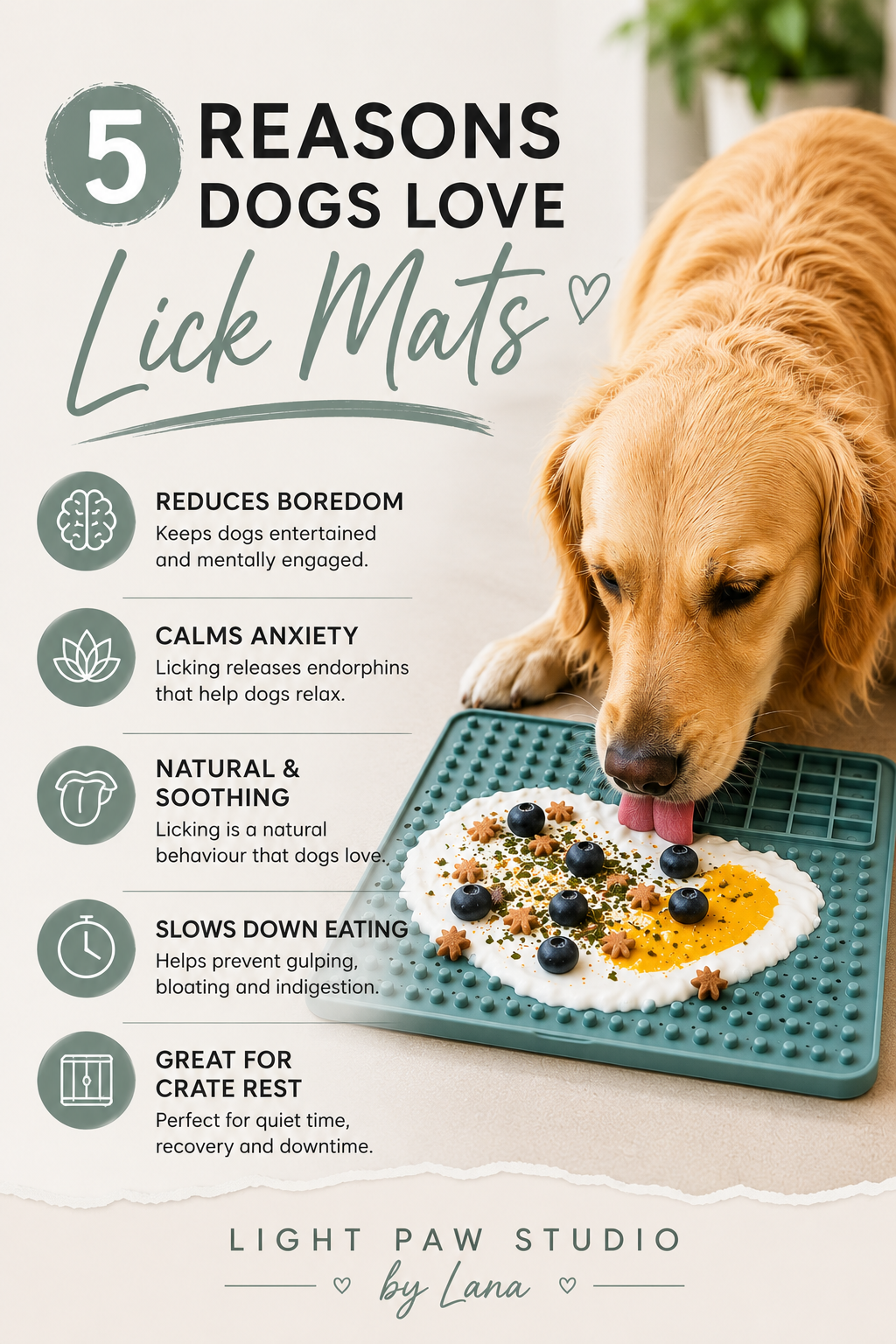 5 reasons dogs love lick mats