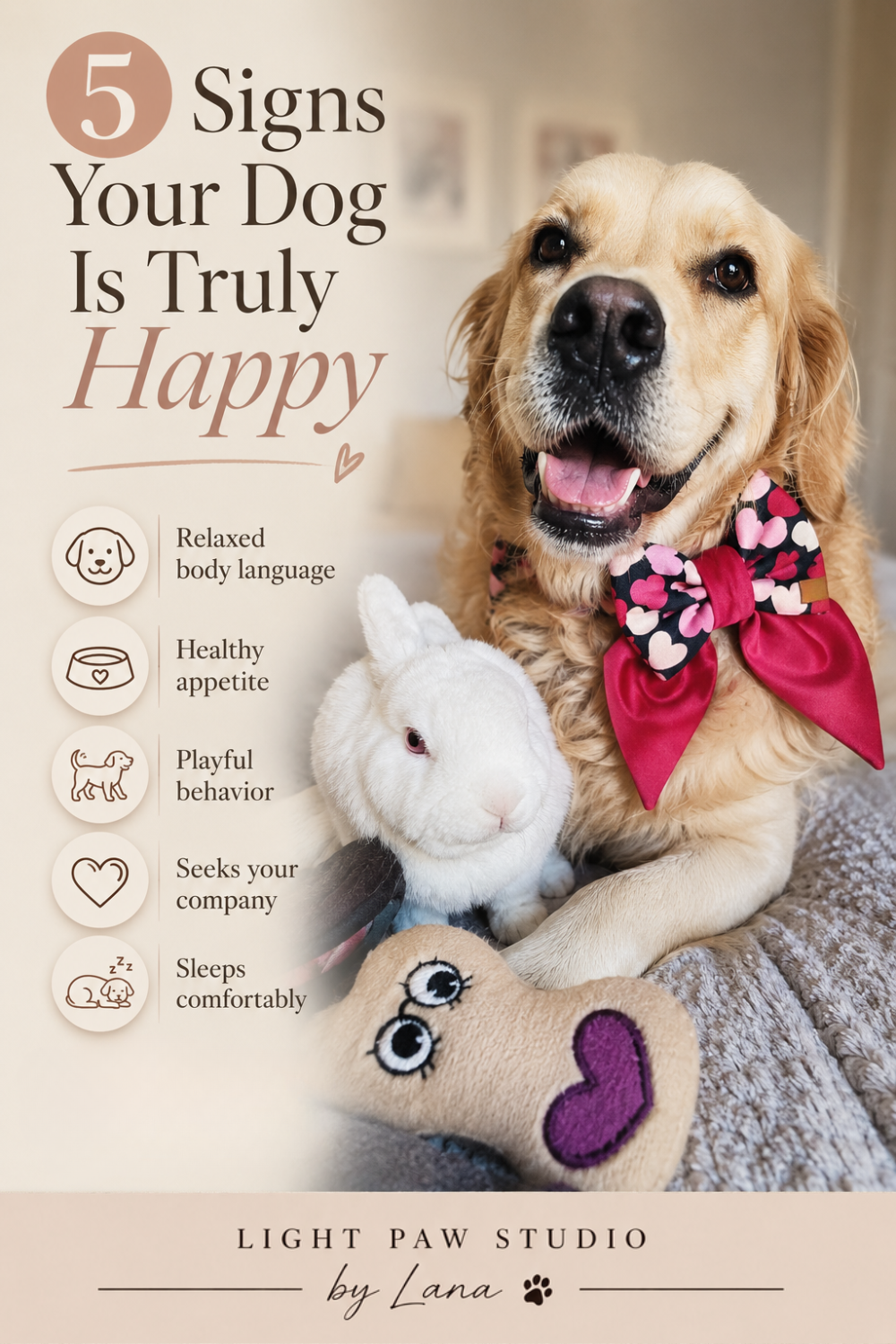 5 Signs Your Dog Is Truly Happy