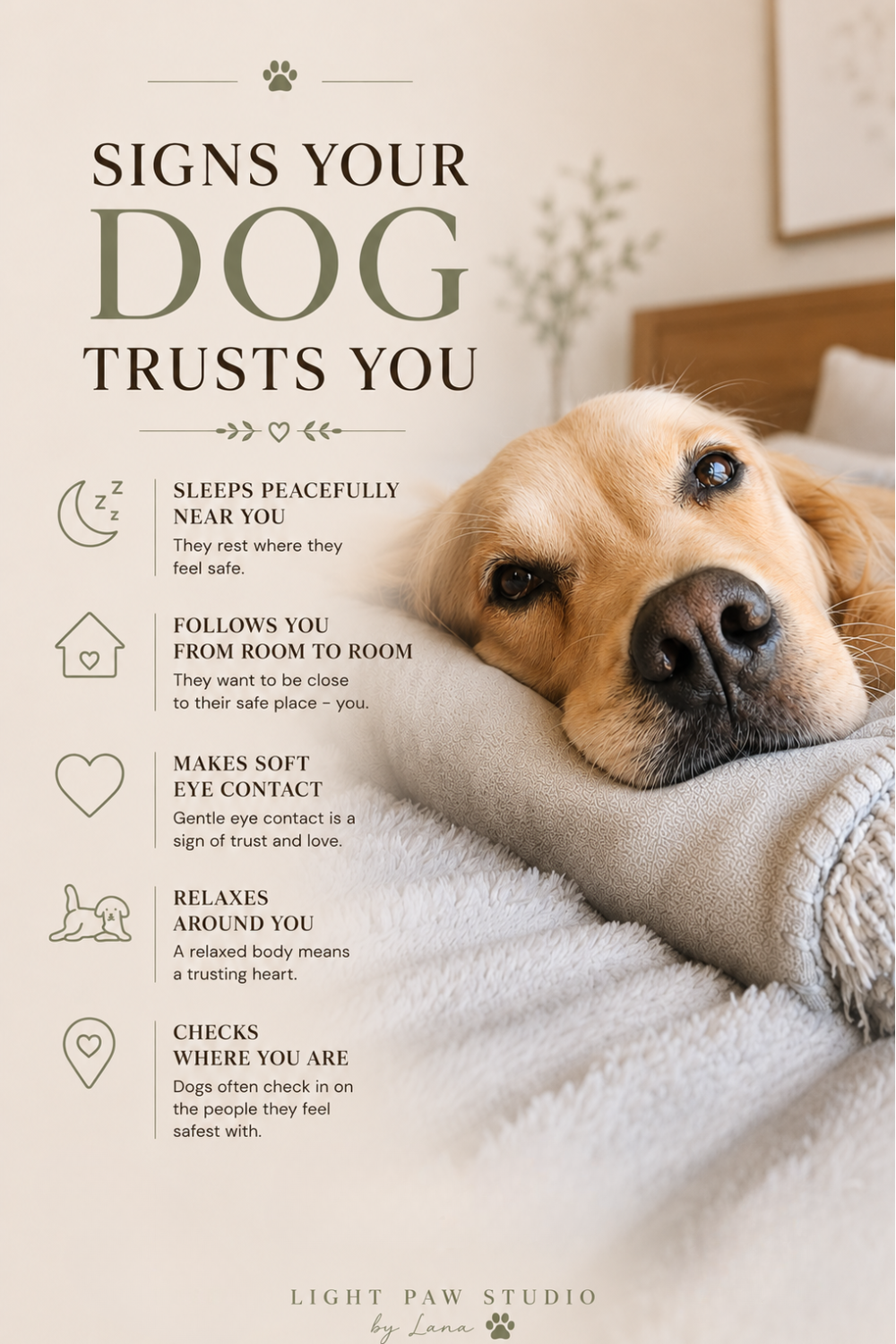 Signs Your Dog Trusts You