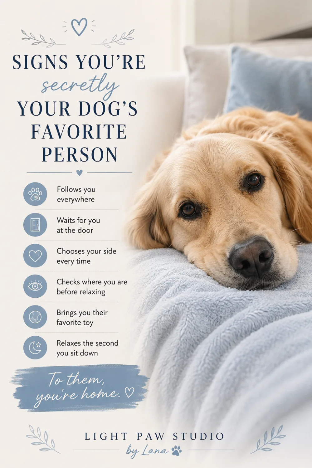 Signs You're Secretly Your Dog's Favourite Person