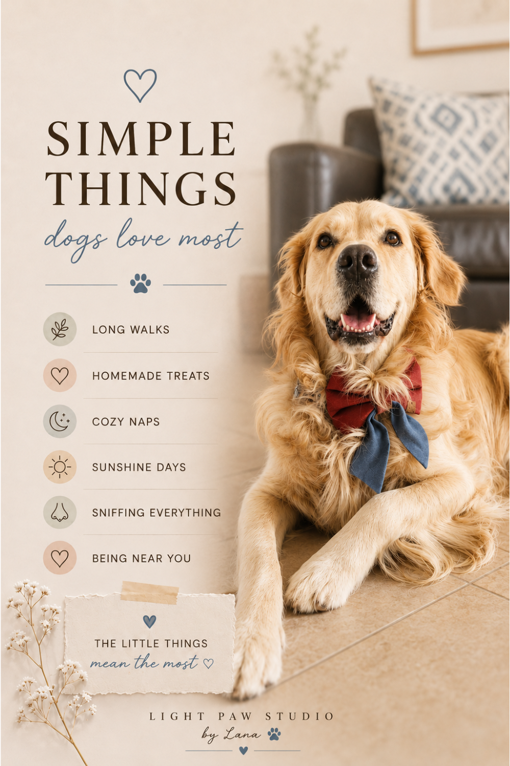 Simple Things Dogs Love Most