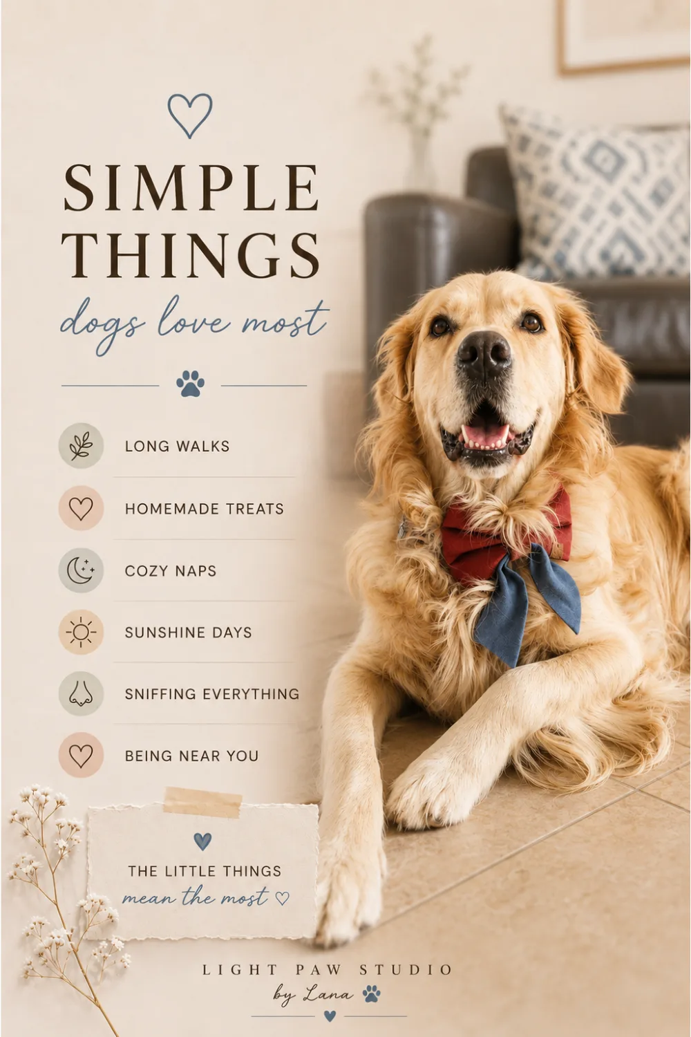 Simple Things Dogs Love Most
