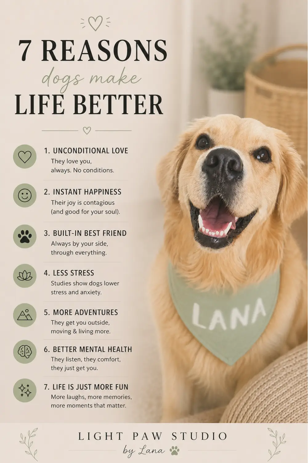 Why Dogs Make Life Better