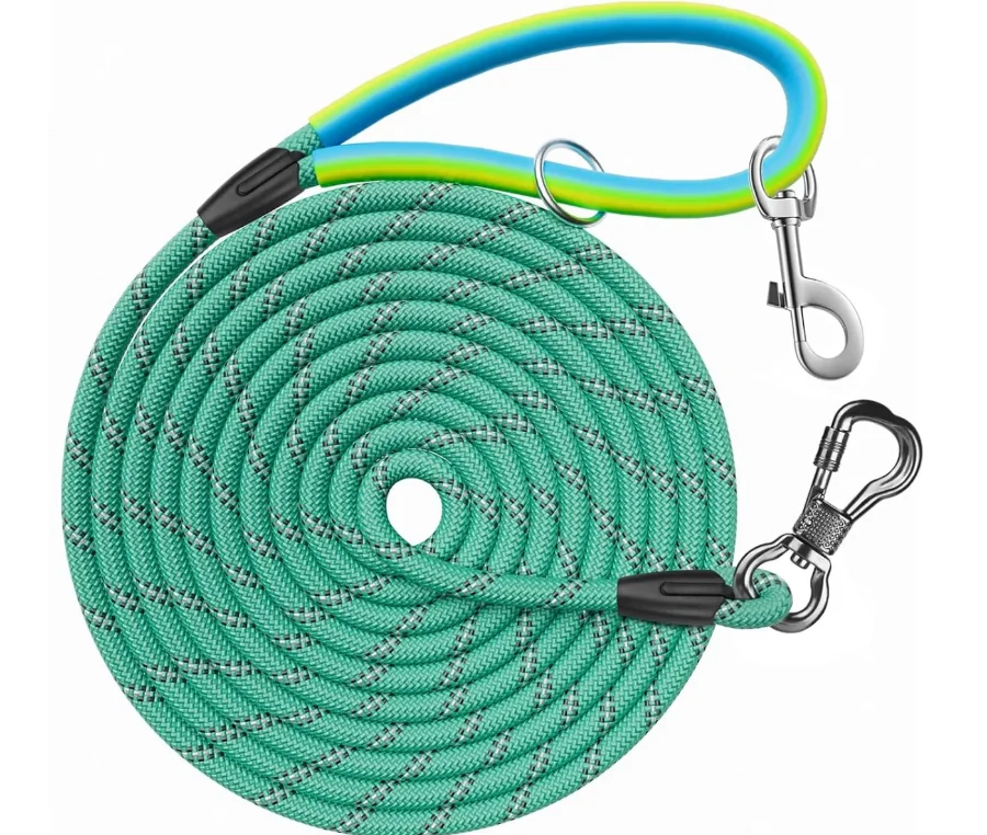 Long teal dog training leash