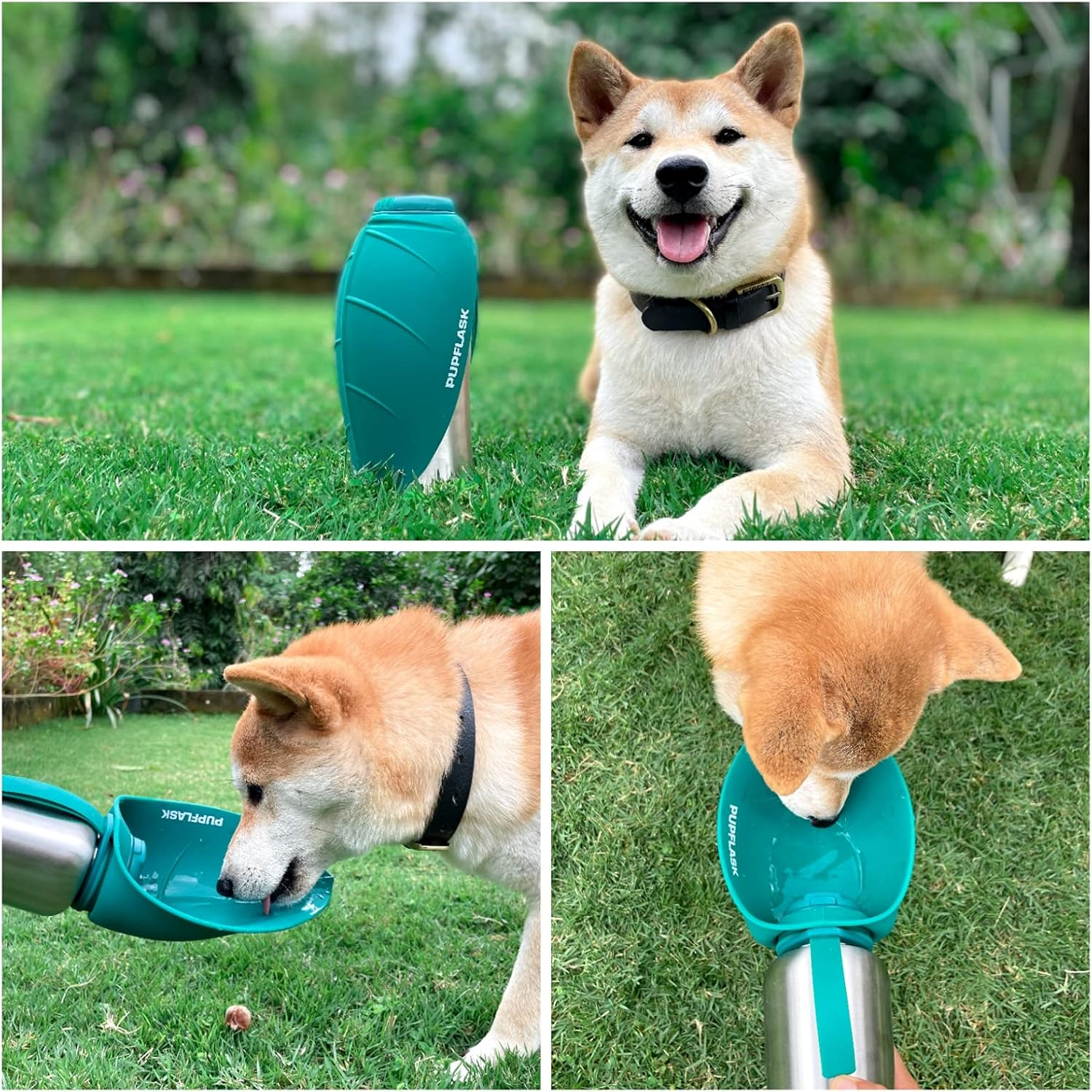 PupFlask Stainless Steel Dog Water Bottle