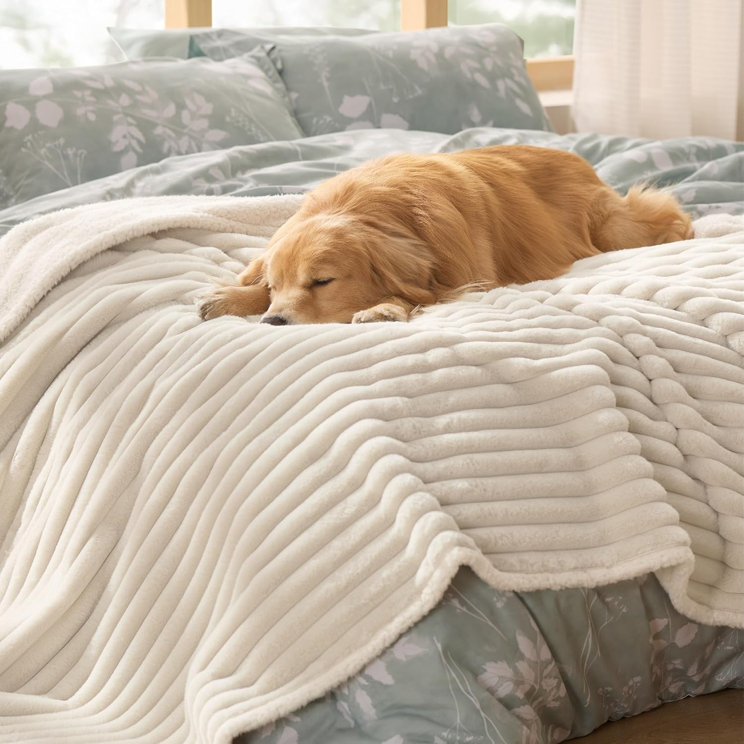 Golden retriever sleeping on a cream corduroy dog blanket