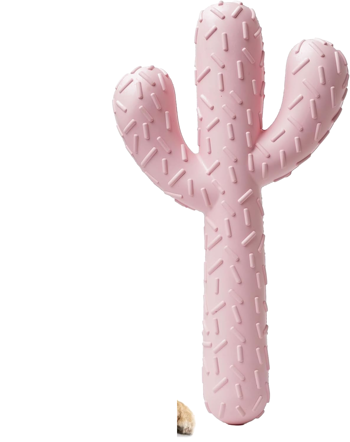 Durable dental dog chew toy for puppies
