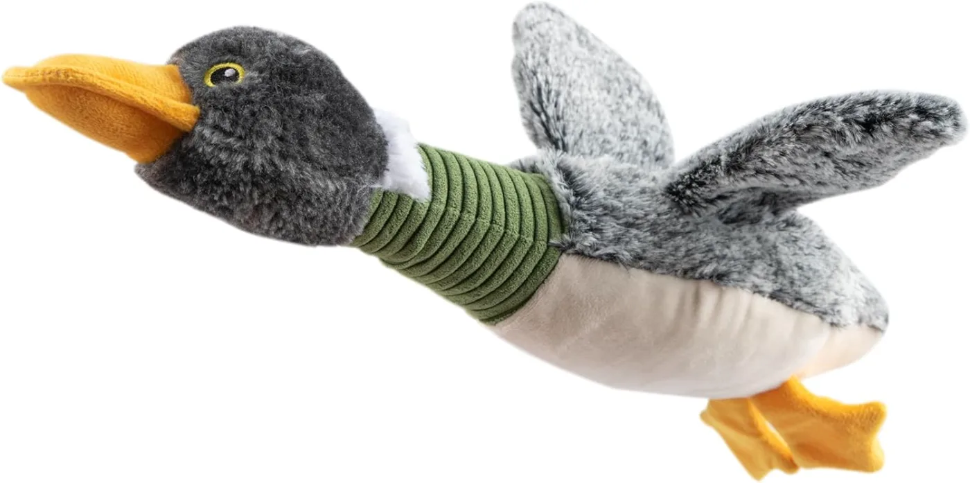Mallard duck plush dog toy