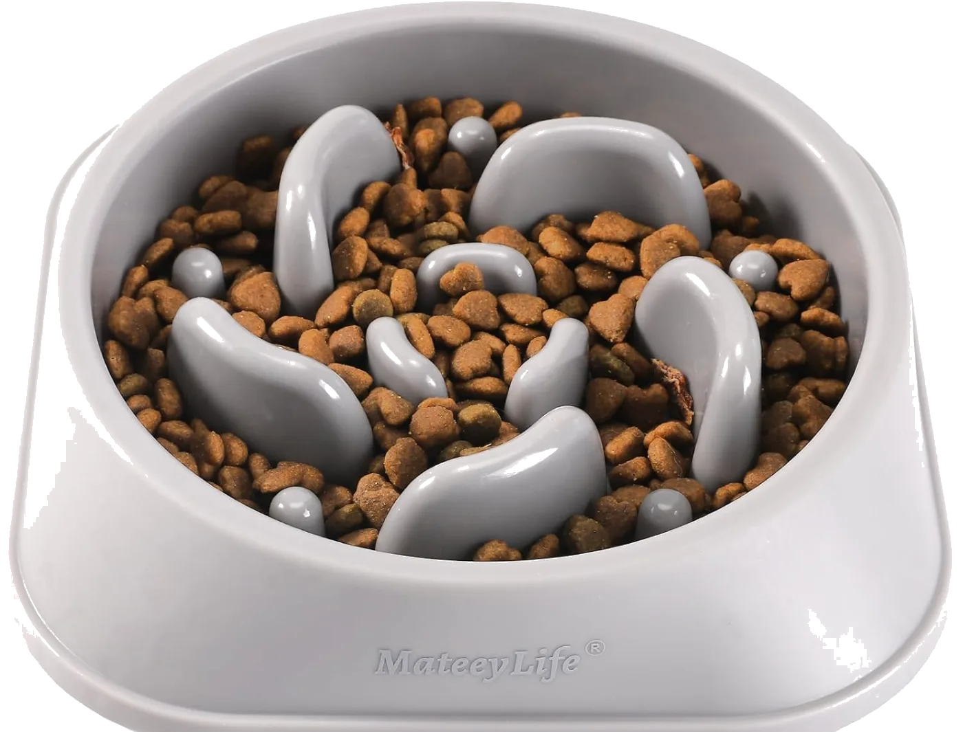 Fun Feeder Slo Bowl for Dogs