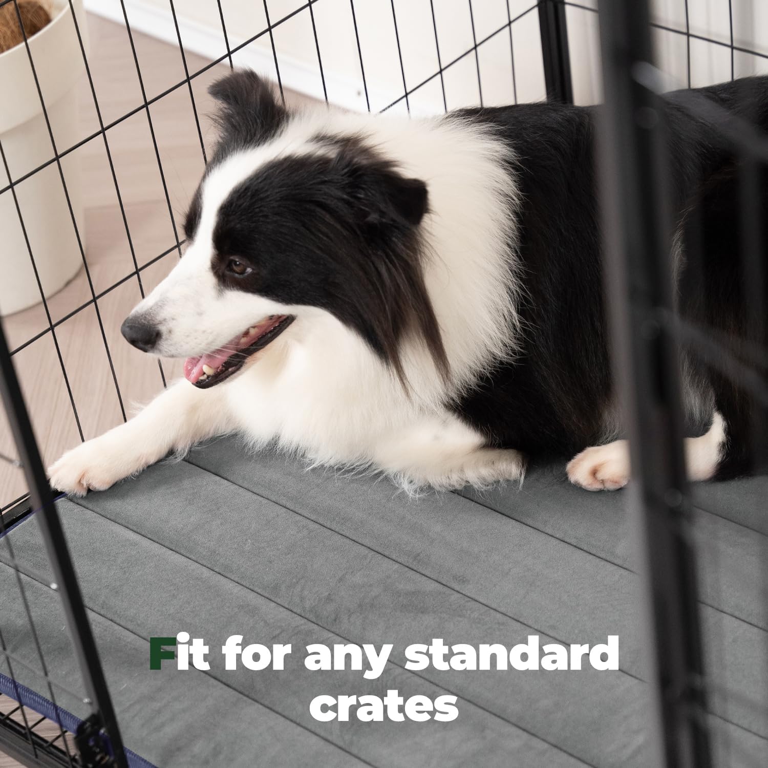 Soft crate pad for standard crates