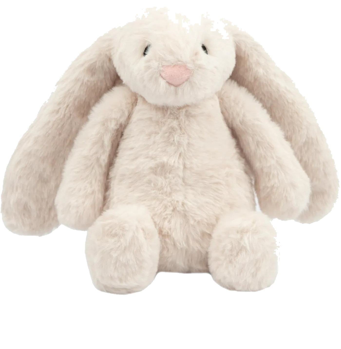Interactive Squeaky Dog Chew Toy
