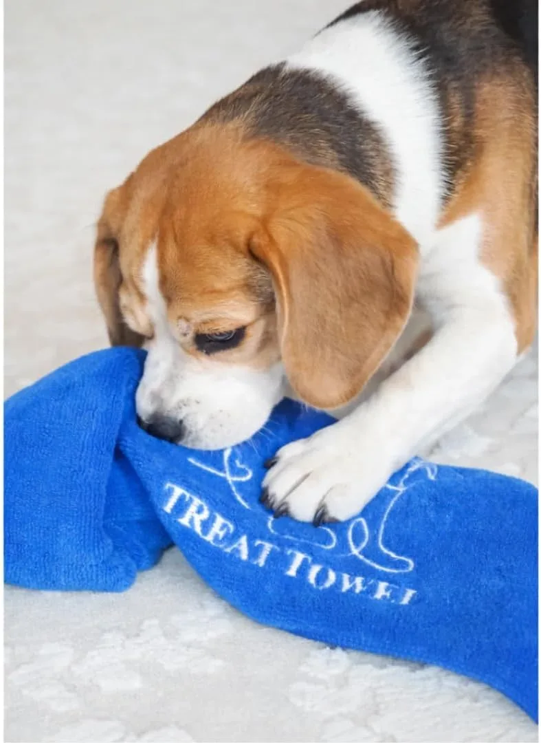 Treat Towel for Dogs