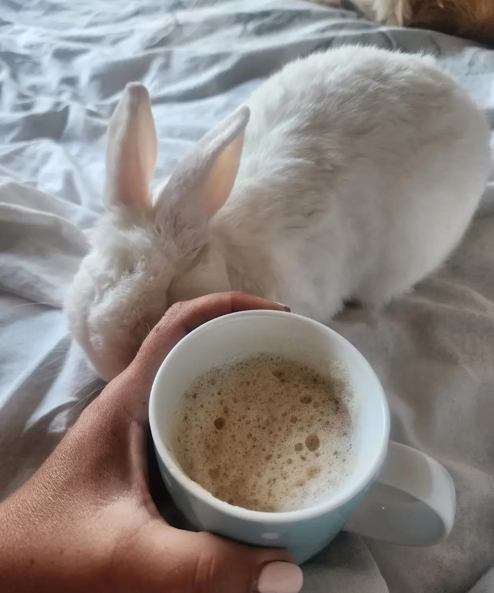 Marshie the bunny beside a cup of coffee on the bed