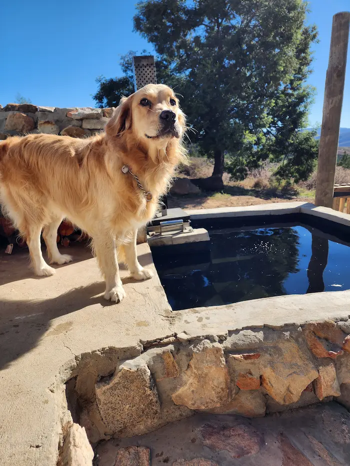Lana standing in the sunshine beside a stone pool on a bright blue day