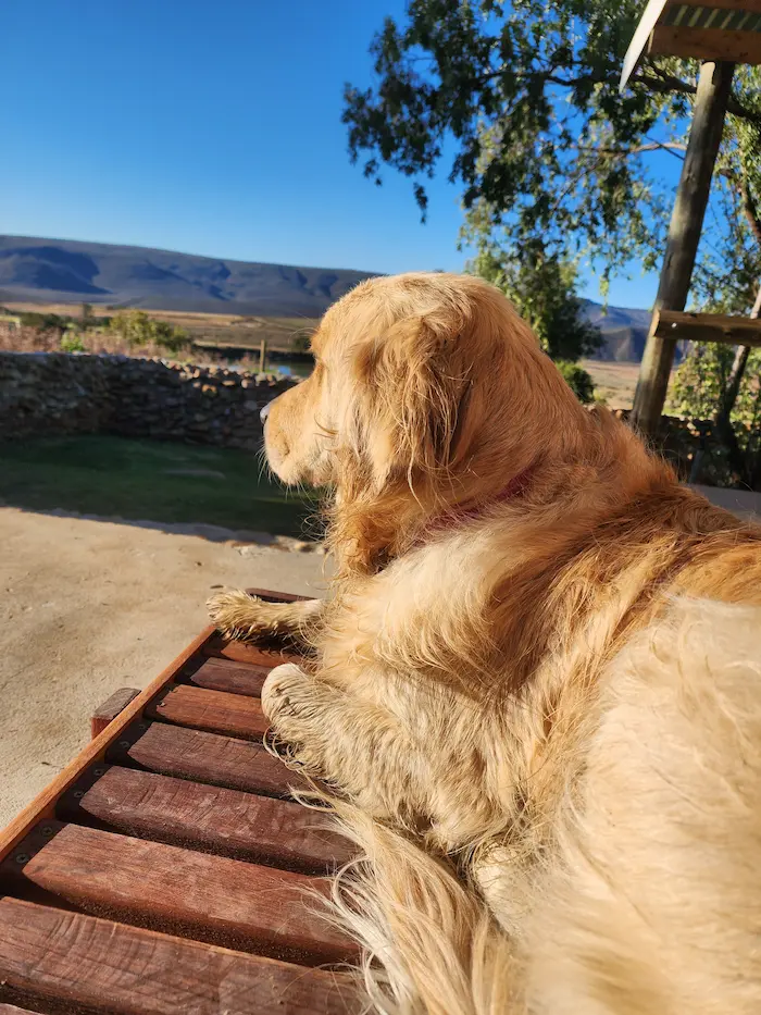 Lana lying on a wooden bench, watching the mountains in the distance