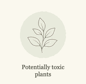 Unsafe plants