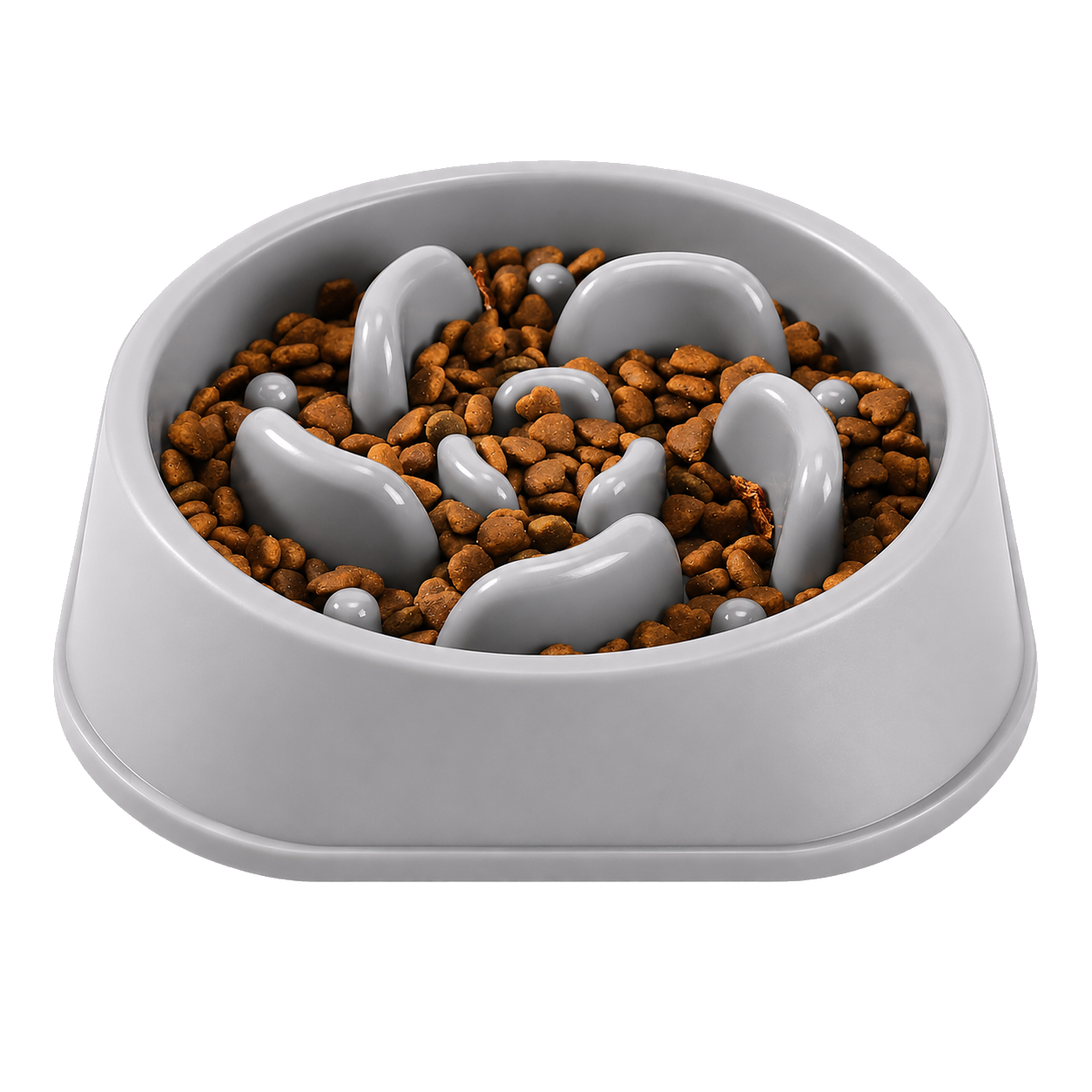 slow feeder bowl